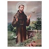 Saint Francis of Assisi canvas print