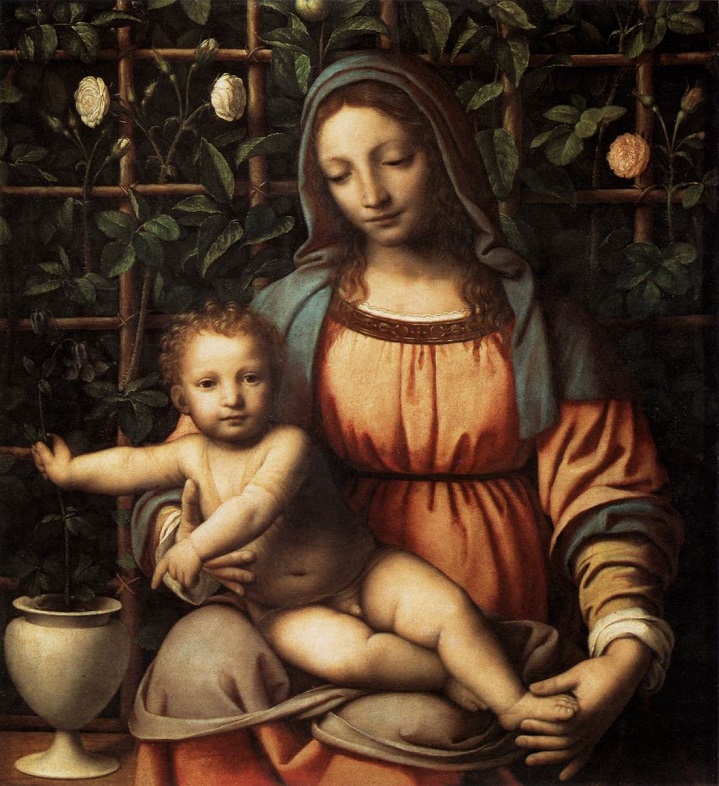 Madonna del Roseto by Bernardino Luini