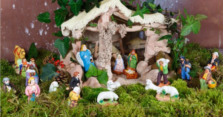How to store moss for the Nativity scene