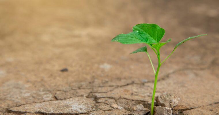 The miracles of Jesus in the four Gospels