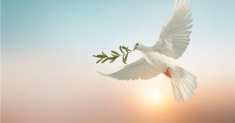 The Most Beautiful Quotes on Peace by Pope Francis