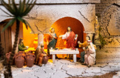 The Public Life of Jesus