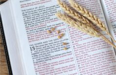 All of Jesus' parables