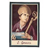 saint-januarius-tapestry-measuring-65x45cm